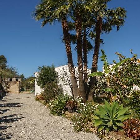 Can Beia Rural House Ibiza Nuestra Señora de Jesus Buitenkant foto